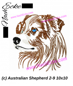 Australian Shepherd 02-9