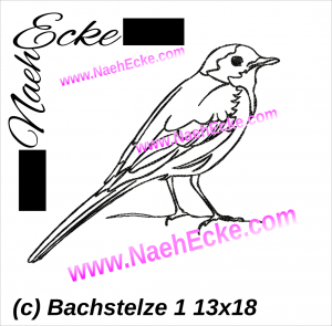 Bachstelze