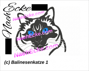 balinese cat