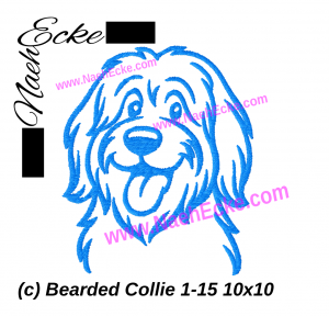 Bearded Collie 01-15