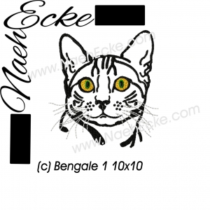 Bengal Cat