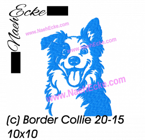 Border Collie 20-15