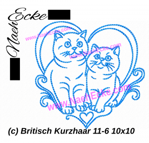Britisch Kurzhaar 11-6