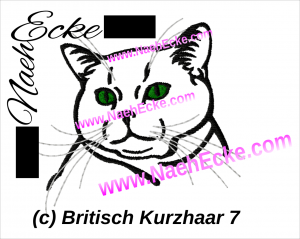 Britisch Kurzhaar 7