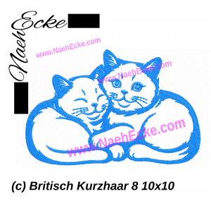 Britisch Kurzhaar 08