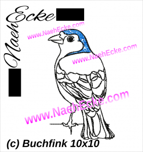 Buchfink