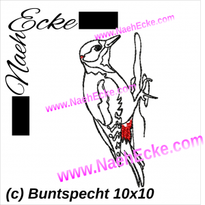 Buntspecht