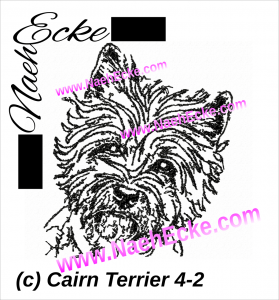 Cairn Terrier 4-2