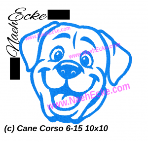 Cane Corso 6-15