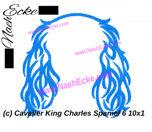 Cavalier King Charles Spaniel 6-13