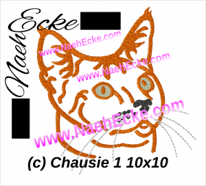 Chausie