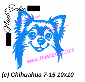Chihuahua 07-15