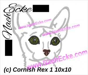 Cornish Rex