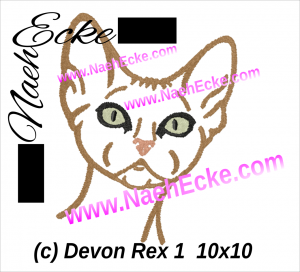 Devon Rex