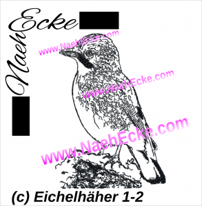 Eichelhäher 1-2