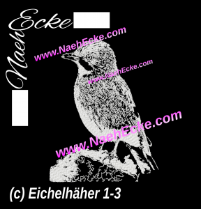 Eichelhäher 1-3