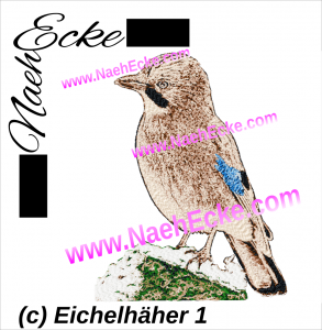 Eichelhäher