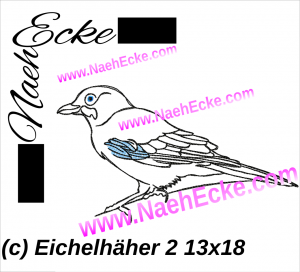 Eichelhäher 2