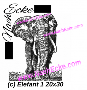 Elefant 1