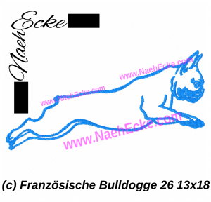 Französische Bulldogge 26