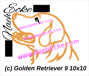 Golden Retriever 09