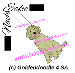 Goldendoodle 4