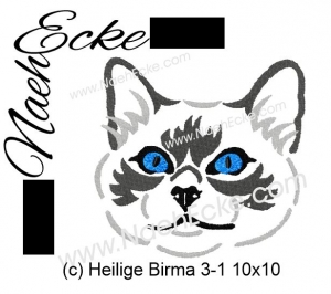Heilige Birma 3-1
