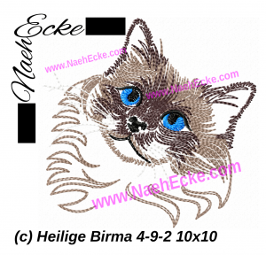 Heilige Birma 4-9-2