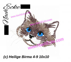 Heilige Birma 4-9