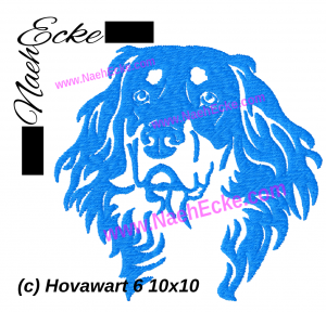 Hovawart 6