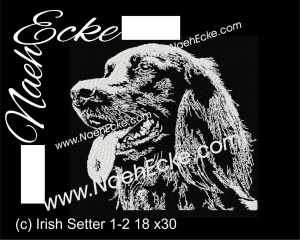 Irish Setter 1-2