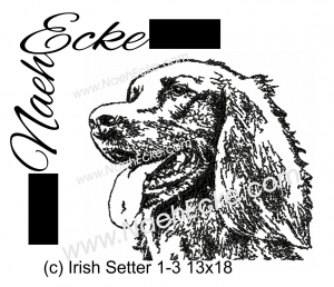 Irish Setter 1-3