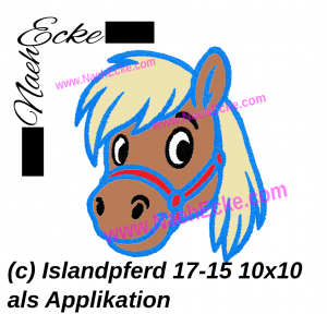 Islandpferd 17-15