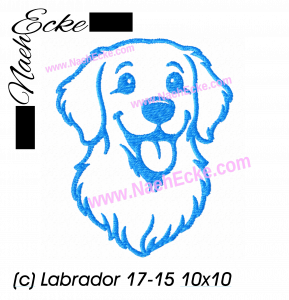 Labrador 17-15