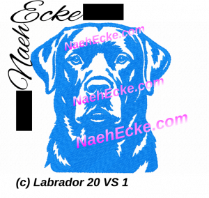 Labrador 20