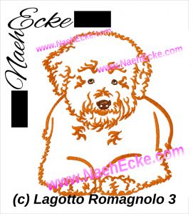 Lagotto Romagnolo 3