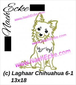 Chihuahuha 06-1