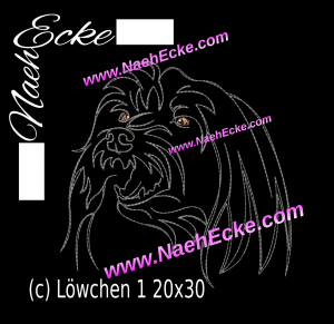 Löwchen (Petit chien lion)