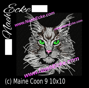 Maine Coon 09