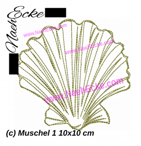 Muschel 1