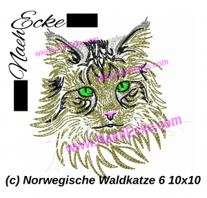 Norwegische Waldkatze 06