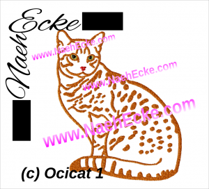 Ocicat