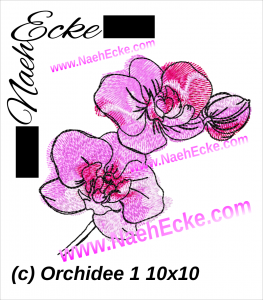 Orchidee