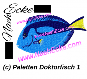 Paletten Dorktorfisch