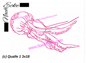 Nesseltiere