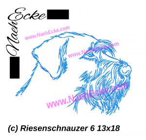 Riesenschnauzer 6
