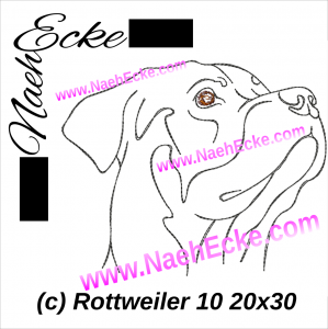 Rottweiler 10