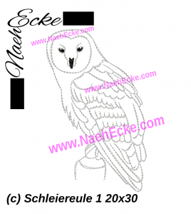 Barn Owl 1