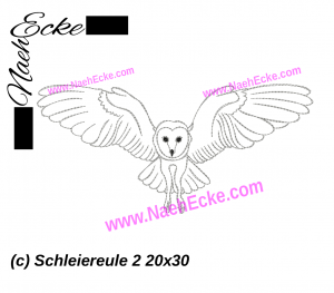 Barn Owl