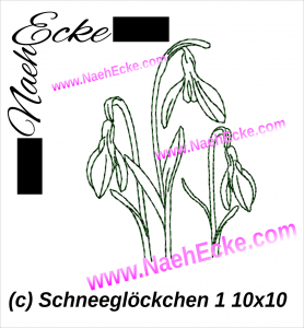Snowdrop